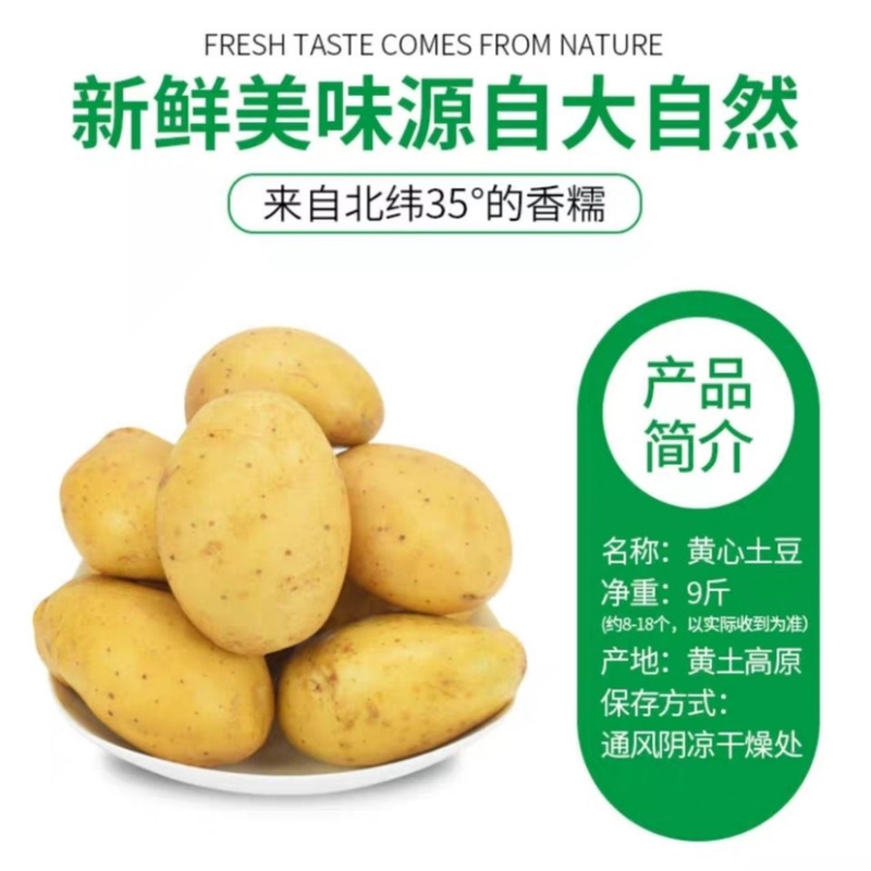 【推荐】甘肃土豆、定西陇十土豆批发.精选优质土豆发四川