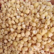 高粱米脱皮去壳高粱米，高粱仁五谷杂粮袋装50斤