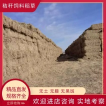 稻草小捆克拉斯铡段场地滚筒除尘、无土、无黑点。