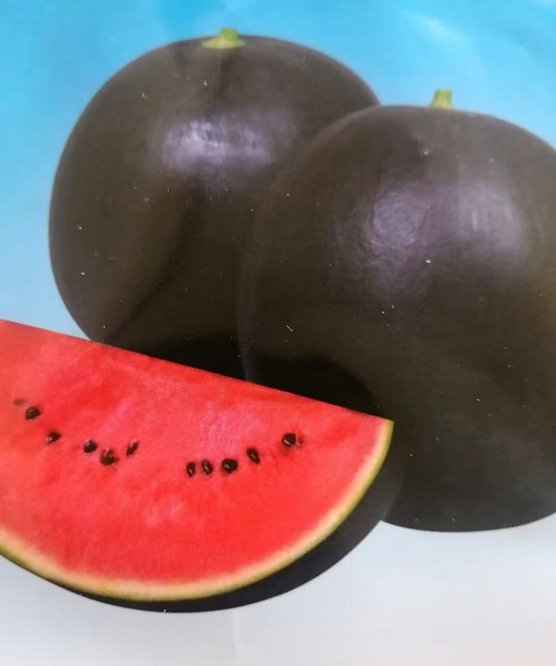 王者黑皮西瓜