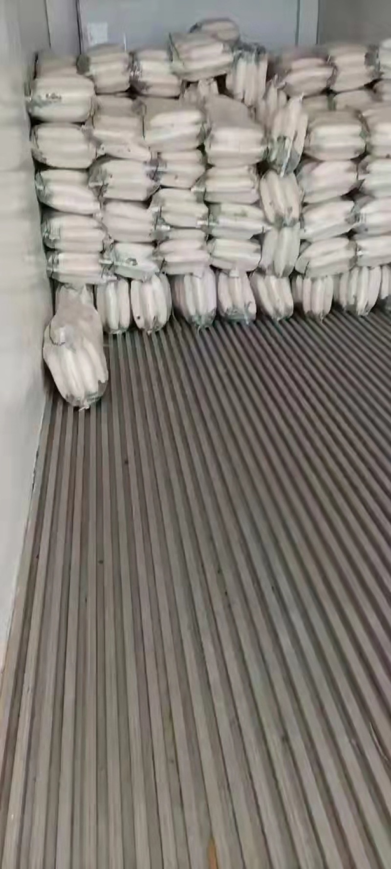 【白罗卜】精品白萝卜产地直销保质保量，欢迎订购