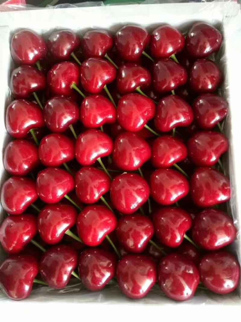 车厘子大樱桃规格种类齐全个个大果产地发货