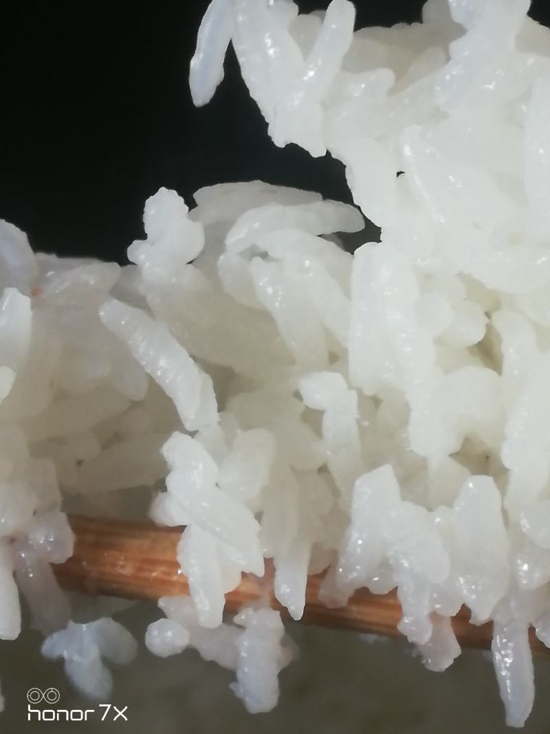 亿品福稻五常古法种植稻花香，五常市英双水稻种植专业合作社