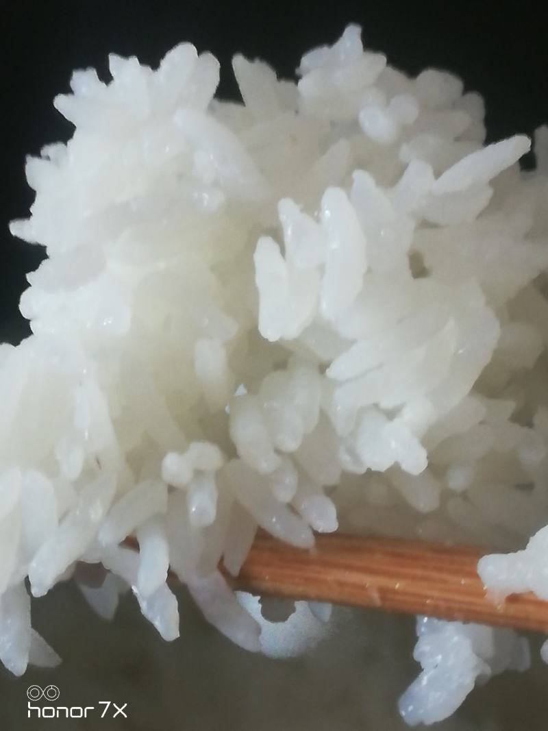 亿品福稻五常古法种植稻花香，五常市英双水稻种植专业合作社