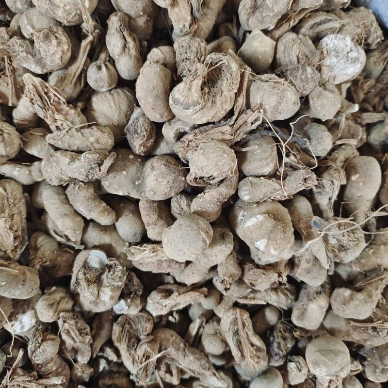 中药材水田七～质量保证～量大从优～货源充足