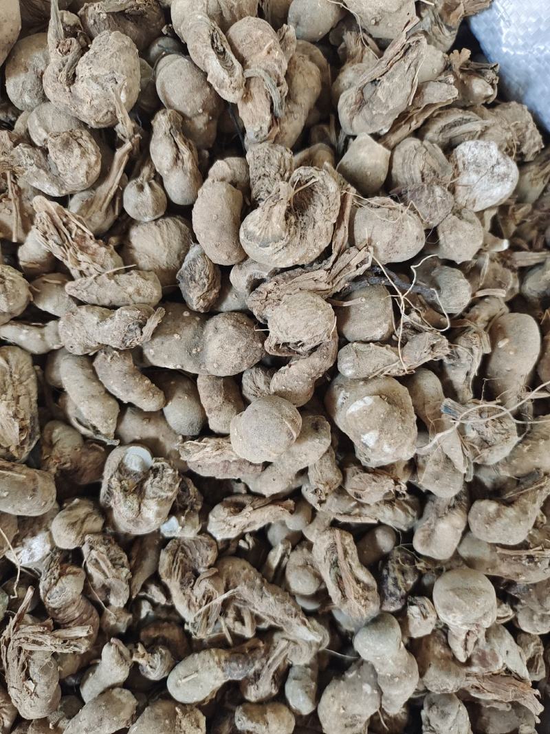中药材水田七～质量保证～量大从优～货源充足