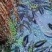 五常稻花香自产自销五常稻花香基地核心种植人工种植古法技术
