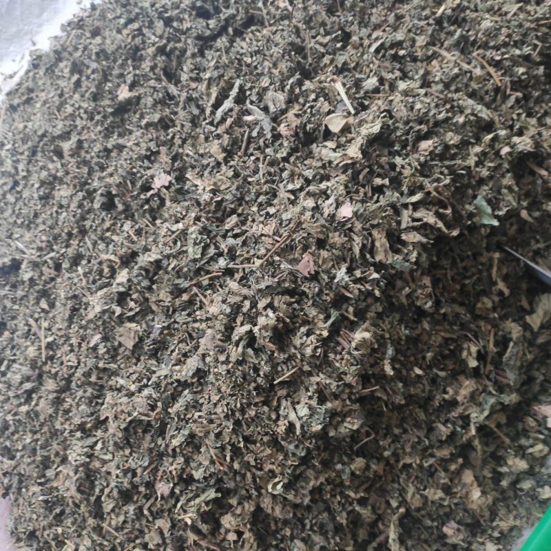 梧桐叶干货梧桐叶冷背专营量大从优