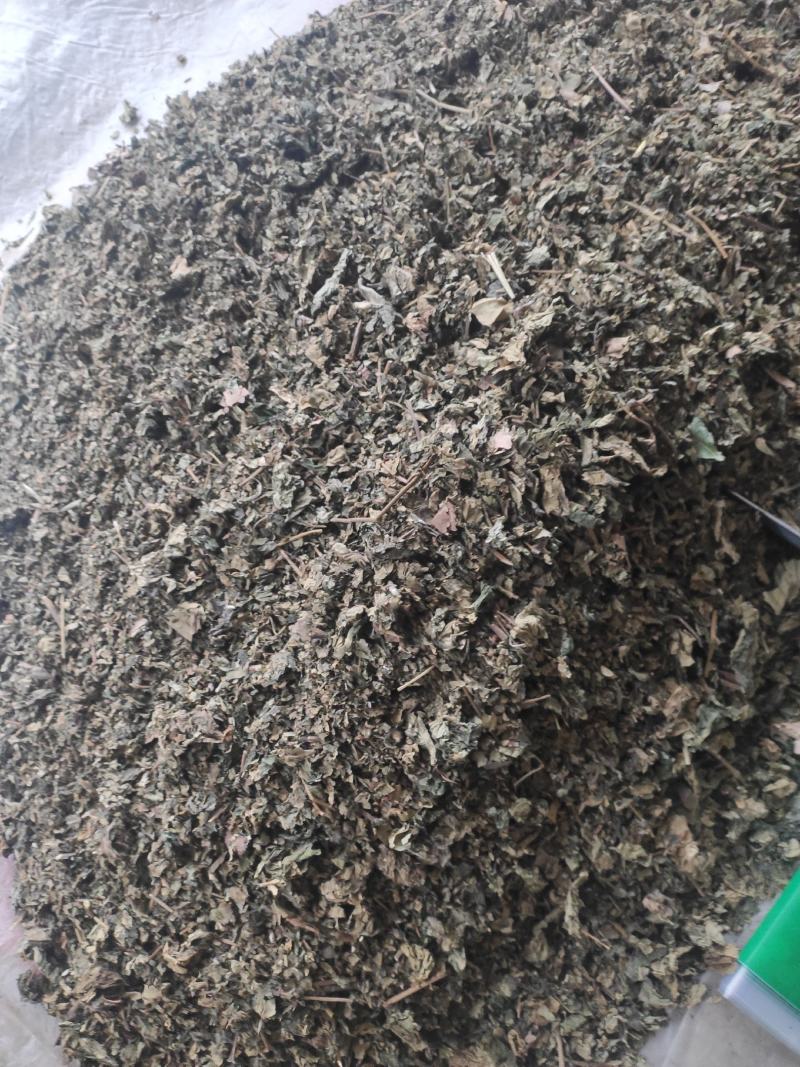 梧桐叶干货梧桐叶冷背专营量大从优