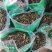 梧桐叶干货梧桐叶冷背专营量大从优