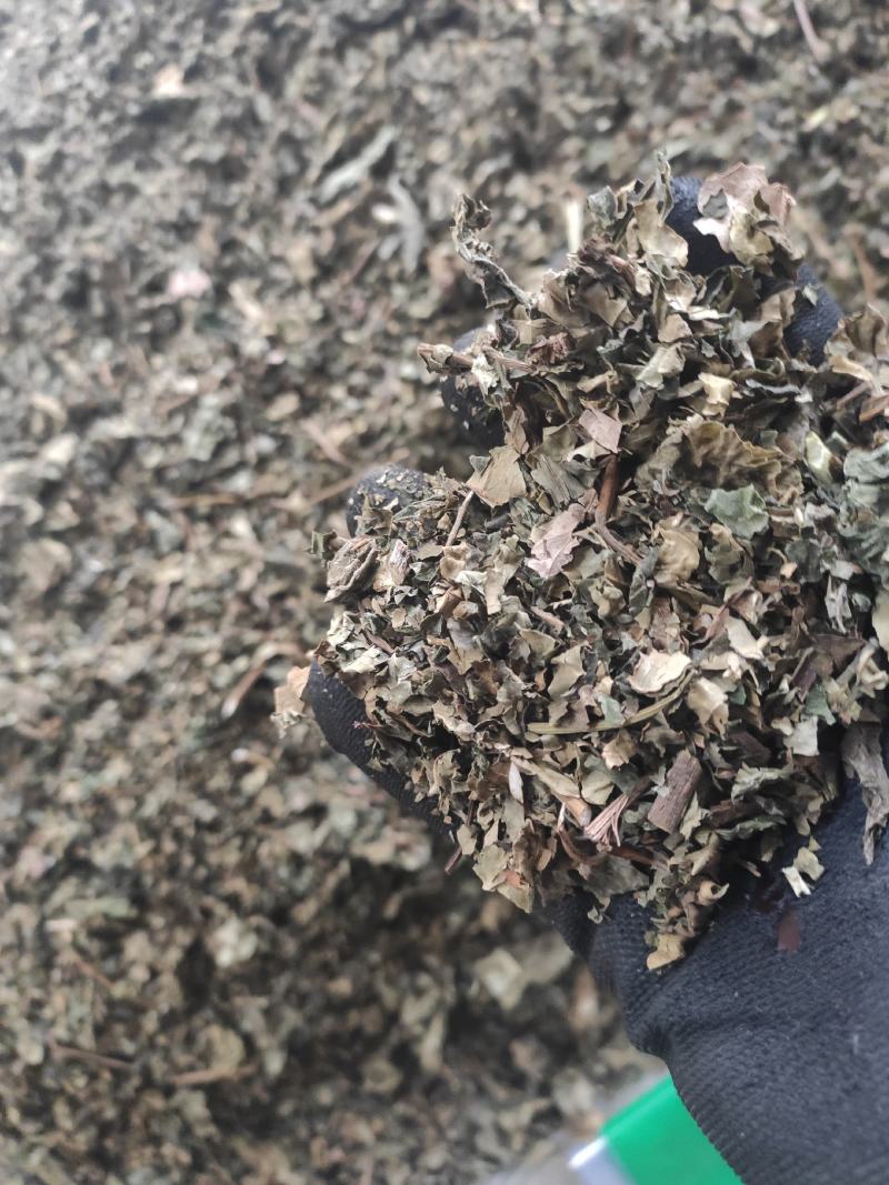 梧桐叶干货梧桐叶冷背专营量大从优