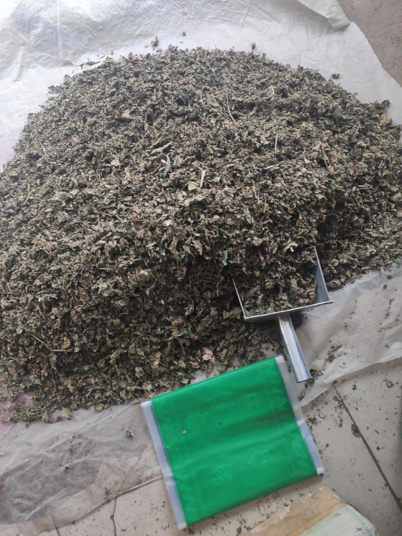梧桐叶干货梧桐叶冷背专营量大从优