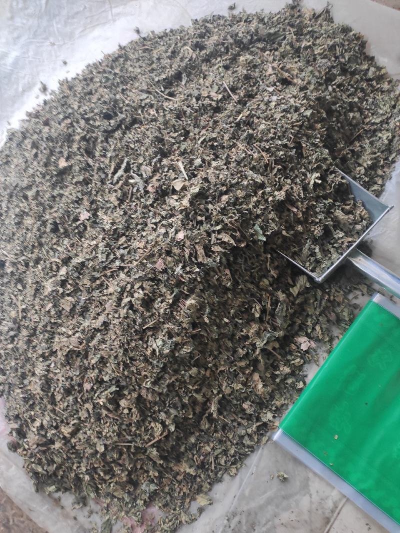 梧桐叶干货梧桐叶冷背专营量大从优