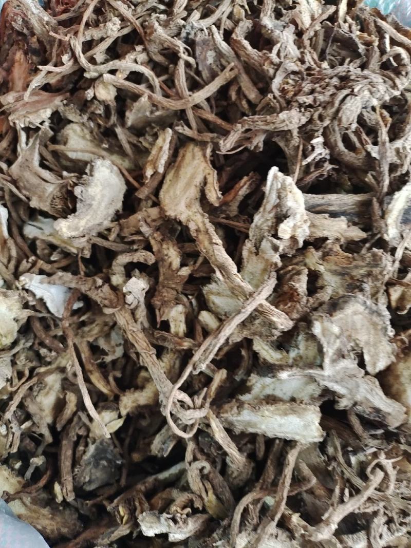 中药材独活～质量保证～货源充足～量大从优