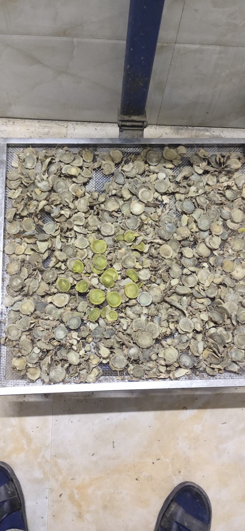 蓝心姜，高含量莪术干片产地直销，2斤起包邮免运费。