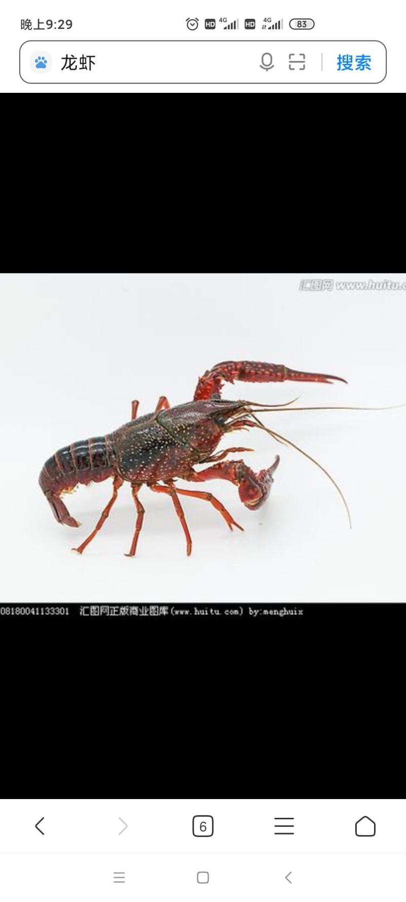 龙虾上市，提前预定，4月份上
