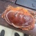 面包蟹10kg/件饱满度非常好，个个带膏。