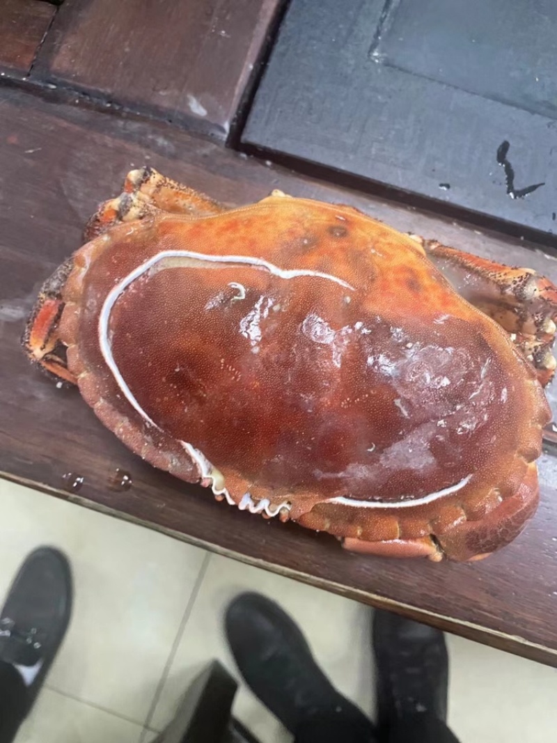 面包蟹10kg/件饱满度非常好，个个带膏。