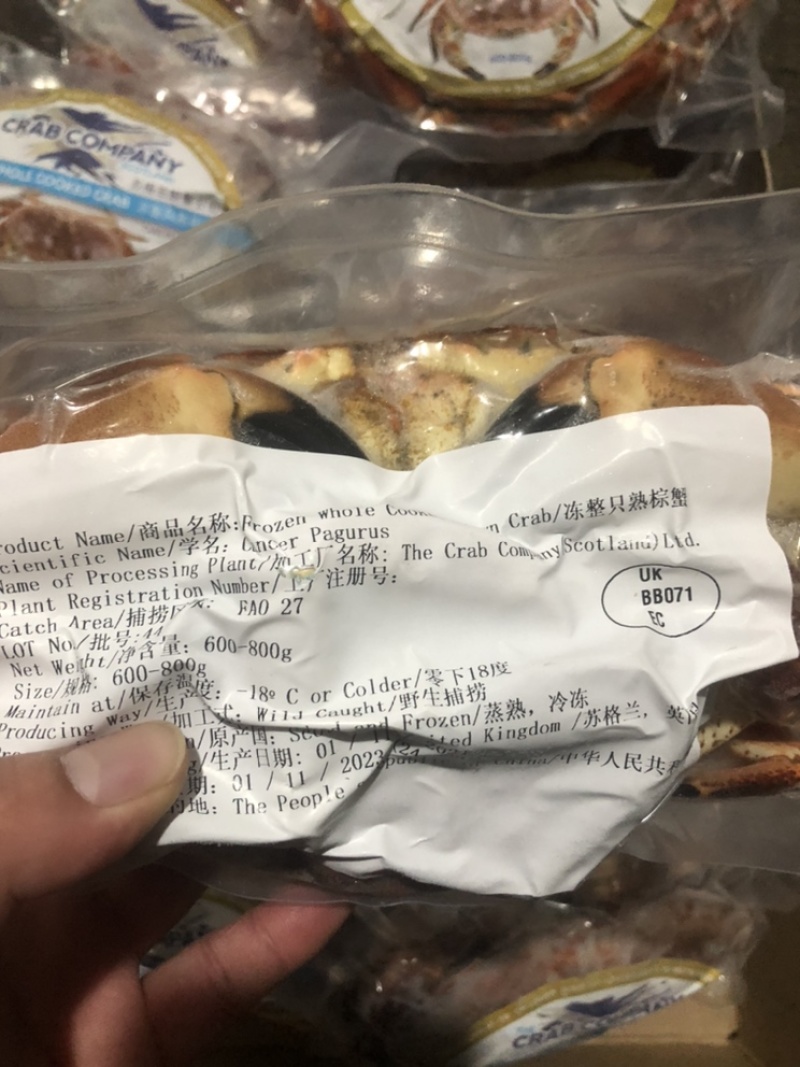 面包蟹10kg/件饱满度非常好，个个带膏。