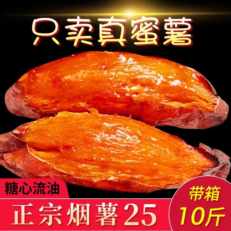 【真蜜薯】正宗山东烟薯25新鲜农家红薯烤地瓜糖心红心沙地