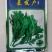 茼蒿种子产量高香味浓割茬春菊种子中小叶茼蒿种籽四季种植