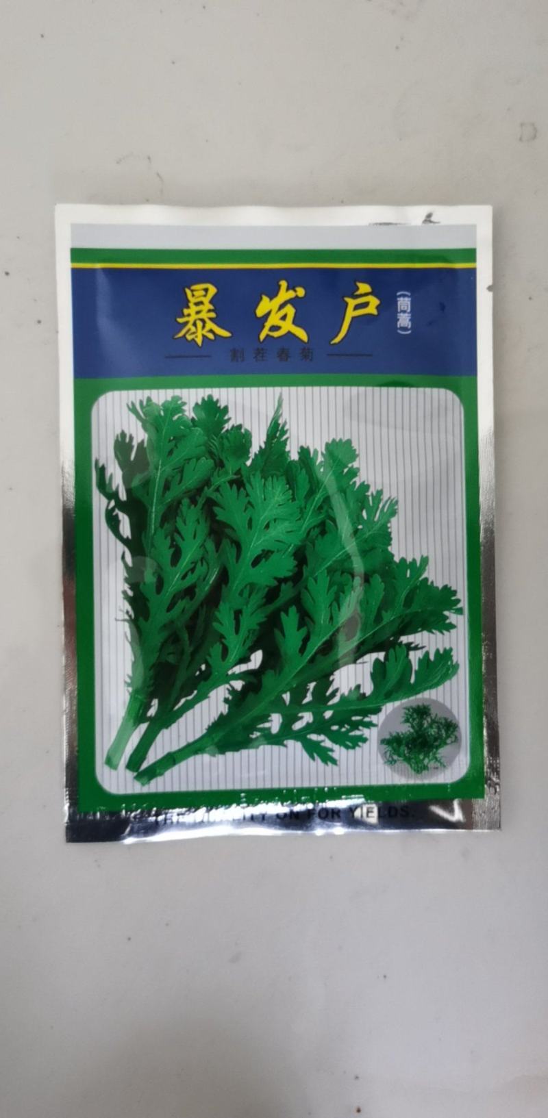 茼蒿种子产量高香味浓割茬春菊种子中小叶茼蒿种籽四季种植