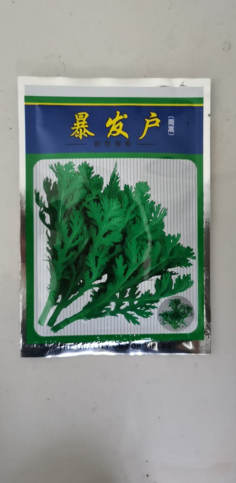 茼蒿种子产量高香味浓割茬春菊种子中小叶茼蒿种籽四季种植