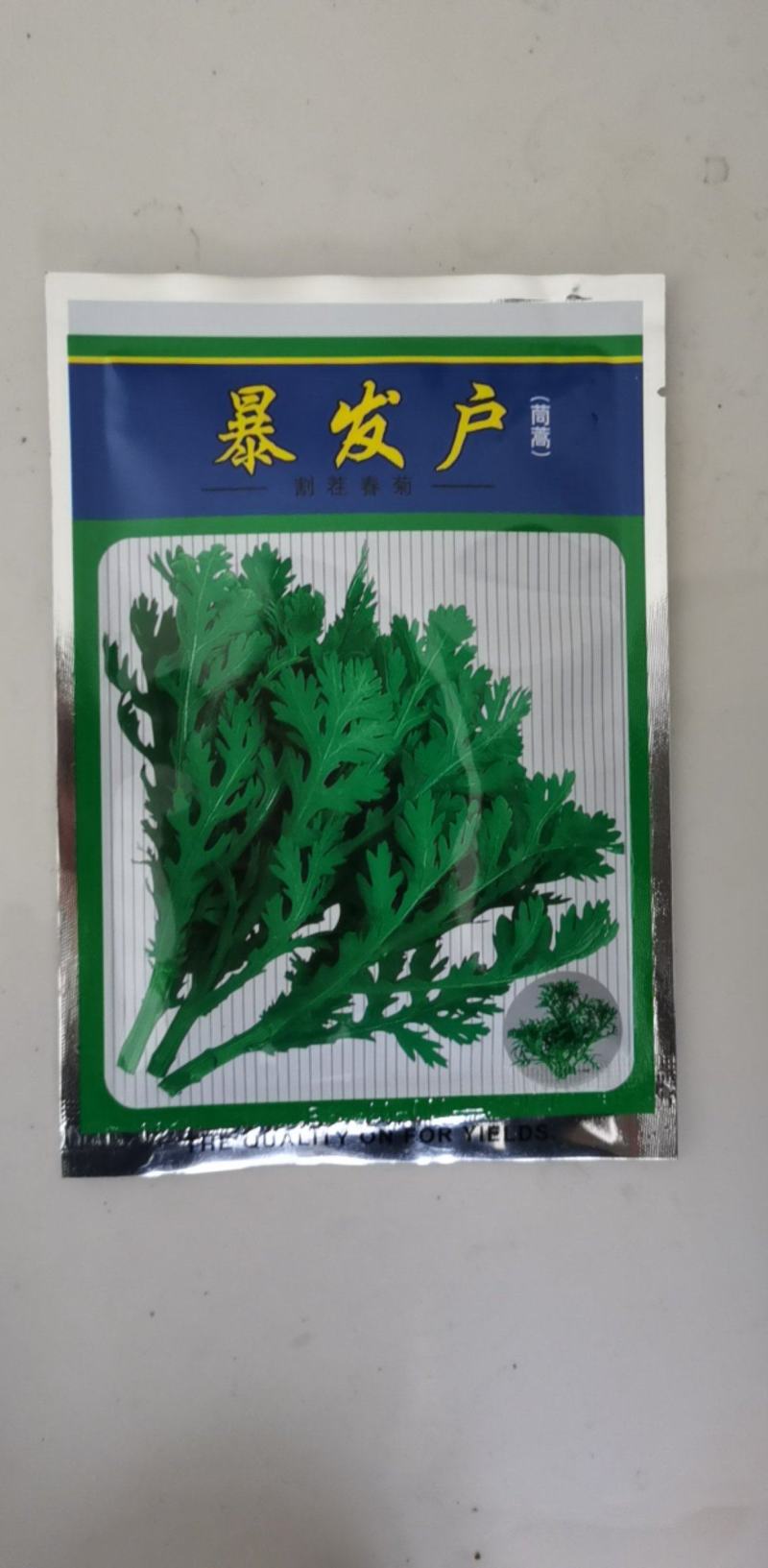 茼蒿种子产量高香味浓割茬春菊种子中小叶茼蒿种籽四季种植