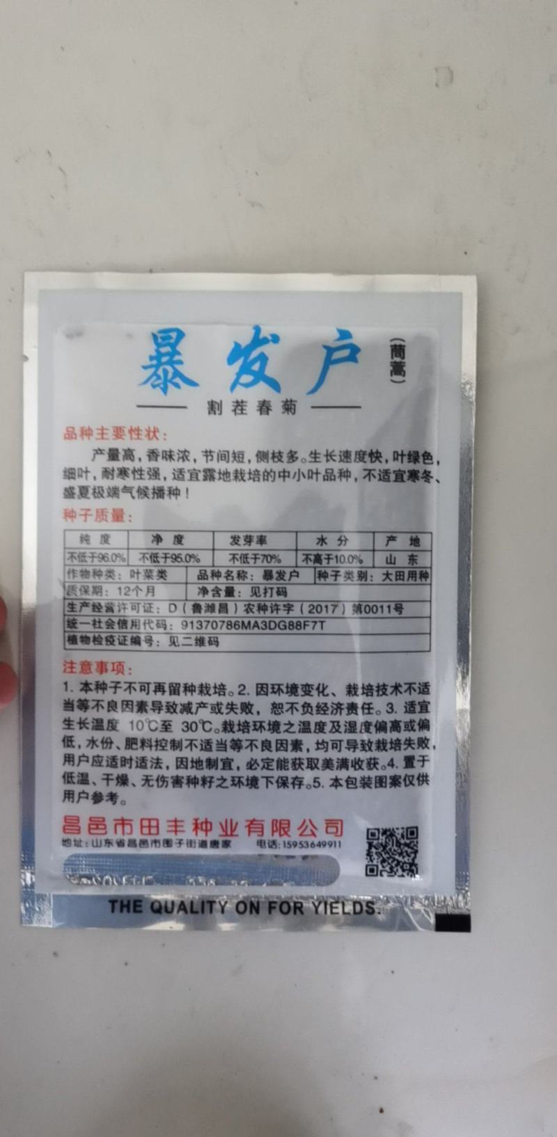 茼蒿种子产量高香味浓割茬春菊种子中小叶茼蒿种籽四季种植