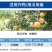 阿维螺螨酯阿维菌素螺螨酯防治红蜘蛛白蜘蛛卵若螨成螨