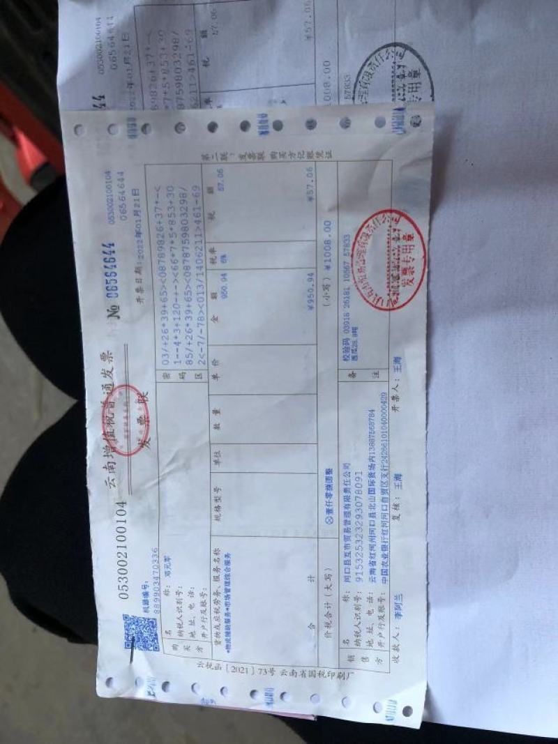 越南红心火龙果等级货电商货一手货源直供