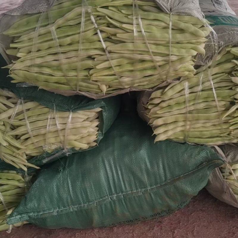 精品芸豆面临大量上市。