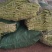 精品芸豆面临大量上市。