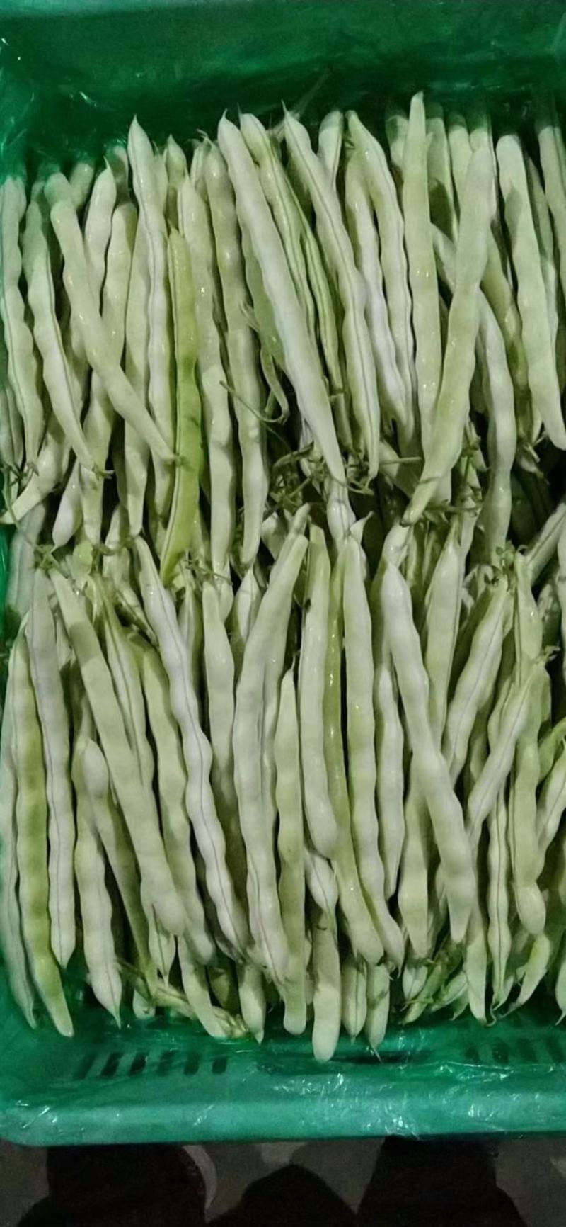 精品芸豆面临大量上市。