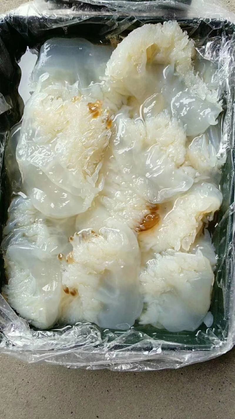 山东海蜇一手货源，酒店、电商合作伙伴，货源充足。可长期