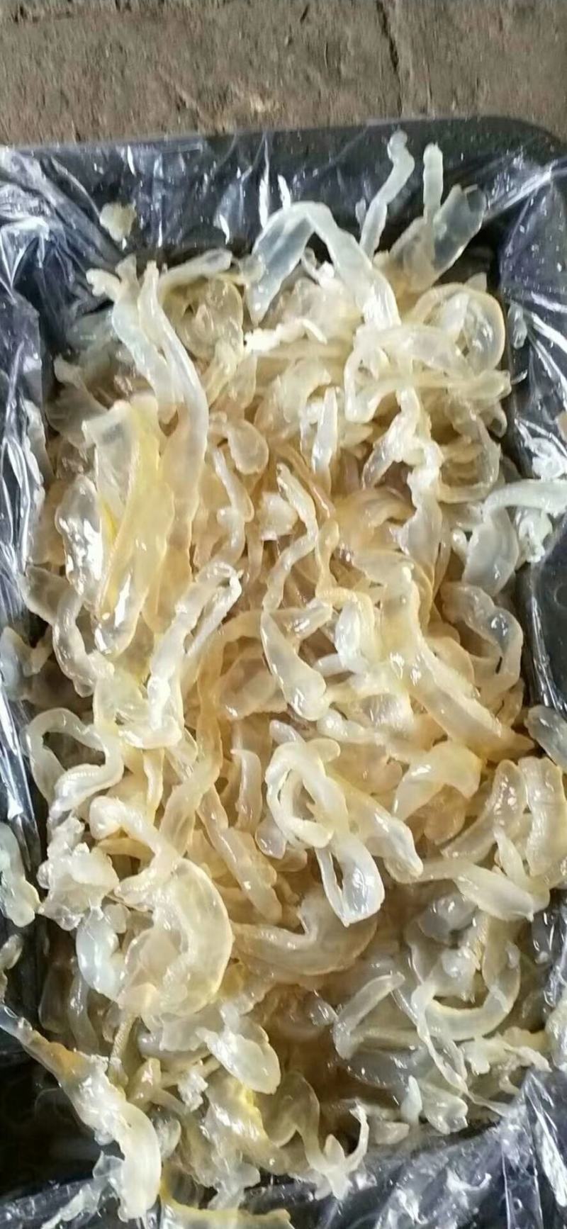 山东海蜇一手货源，酒店、电商合作伙伴，货源充足。可长期