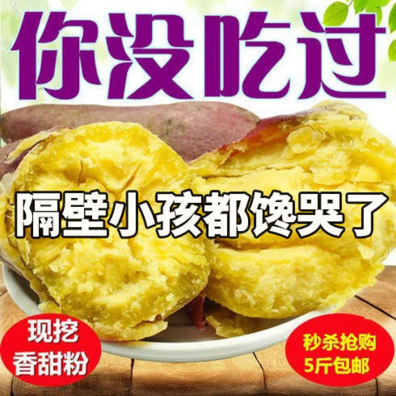 【板栗薯】农家板栗薯新鲜粉糯香绵无筋地瓜批发红皮黄心