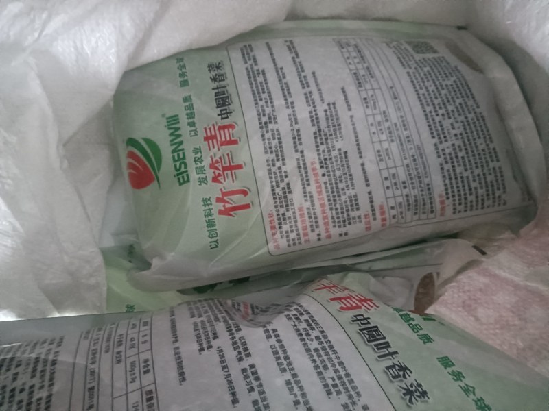 香菜种子
