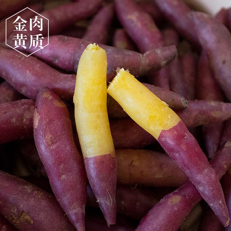 天目山小香薯金手指红薯新鲜现挖黄心粉甜沙地板栗地瓜番薯