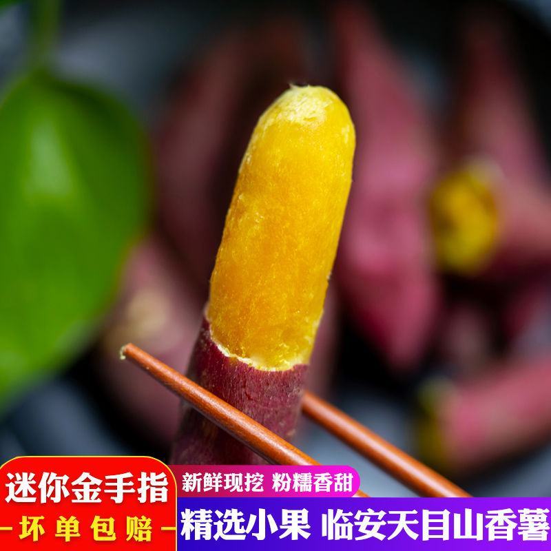 天目山小香薯金手指红薯新鲜现挖黄心粉甜沙地板栗地瓜番薯