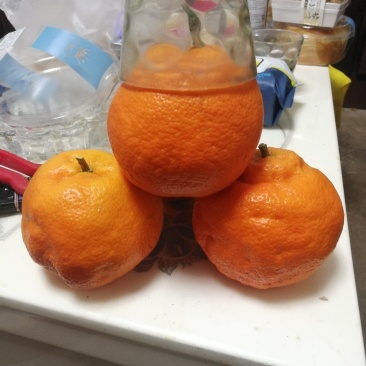 明日见