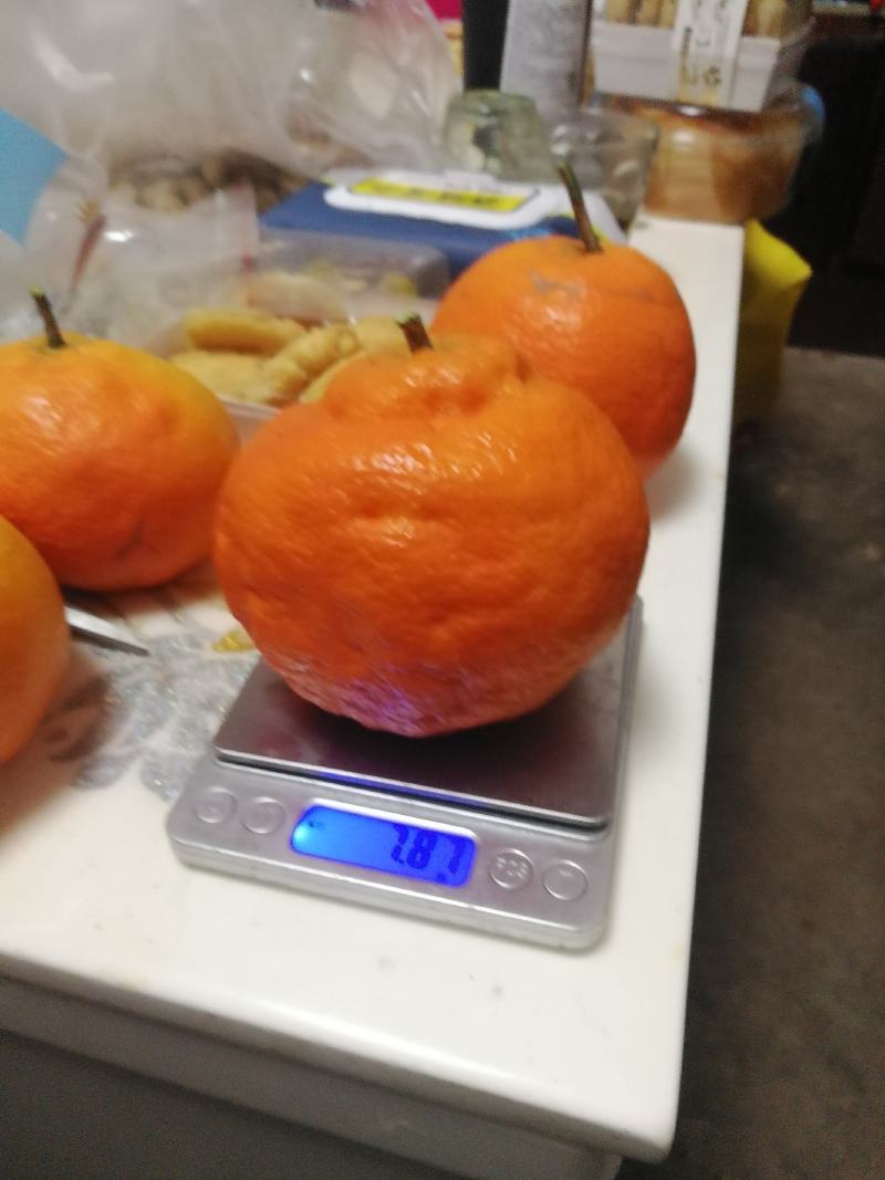 明日见