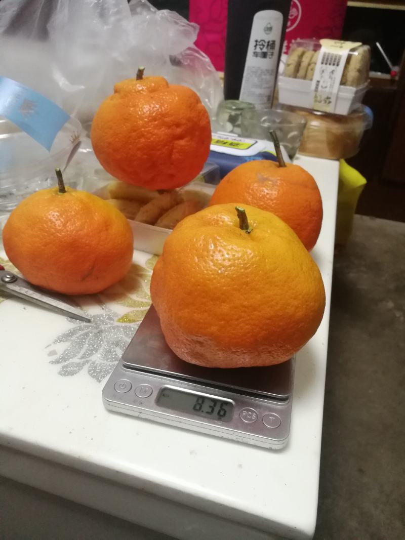明日见