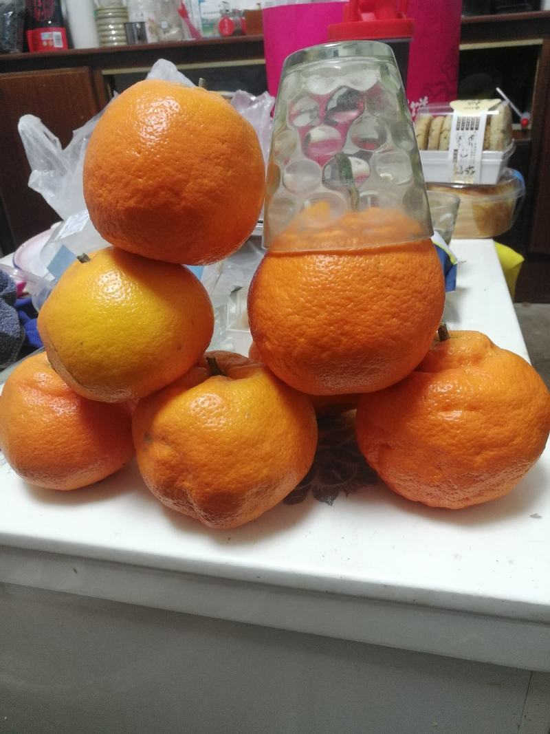 明日见