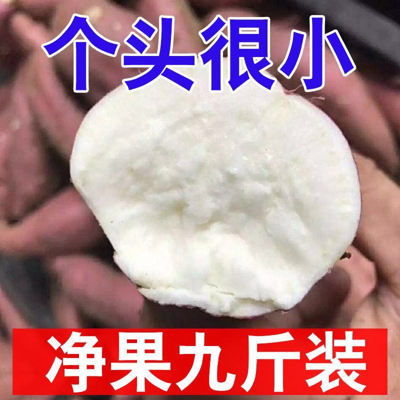现挖老品种白心红薯白瓤红薯新鲜农家山芋地瓜粉糯香甜白肉