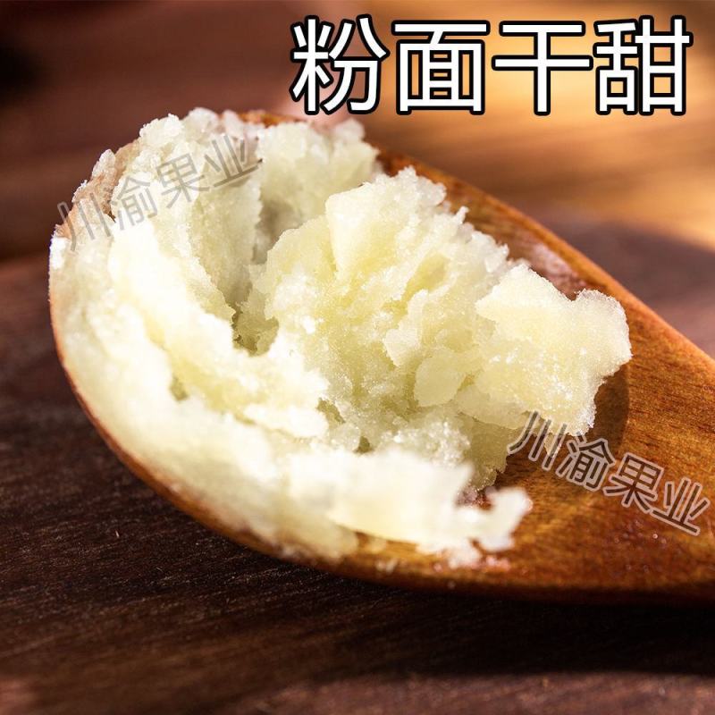 现挖老品种白心红薯白瓤红薯新鲜农家山芋地瓜粉糯香甜白肉