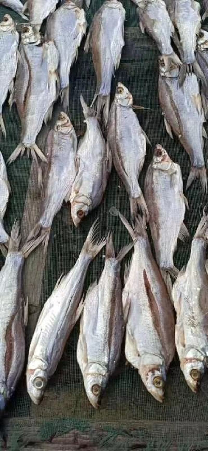 重庆油炸小鱼干，产地直销，品质保证，货源充足，欢迎选购