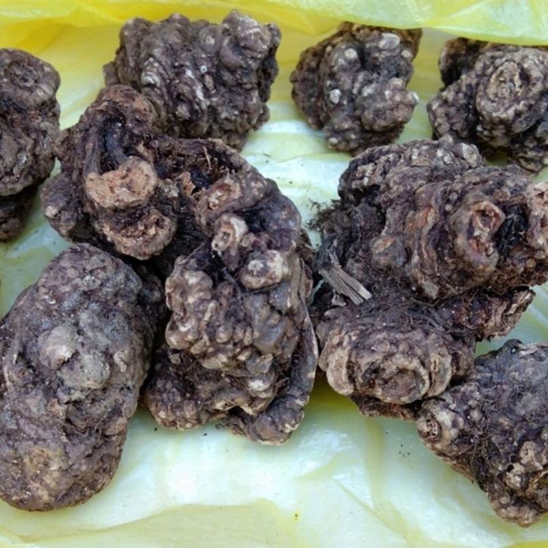 川芎，什邡川芎，川穹个子新货，自然晒干，无硫磺，过药监