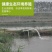 台湾泥鳅苗支持全国空运大量批发可视频看货
