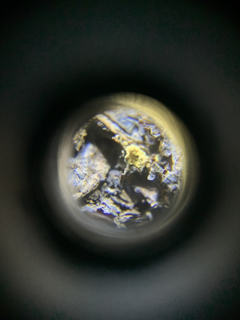 金花茯砖是黑茶里面长金花，也就是黑茶里面有一种益生菌，对什…